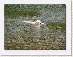 At Dingmans Ferry 06 * 612 x 461 * (77KB)